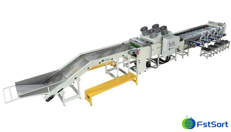 images/1700723685240cherry tomato processing machine.jpg